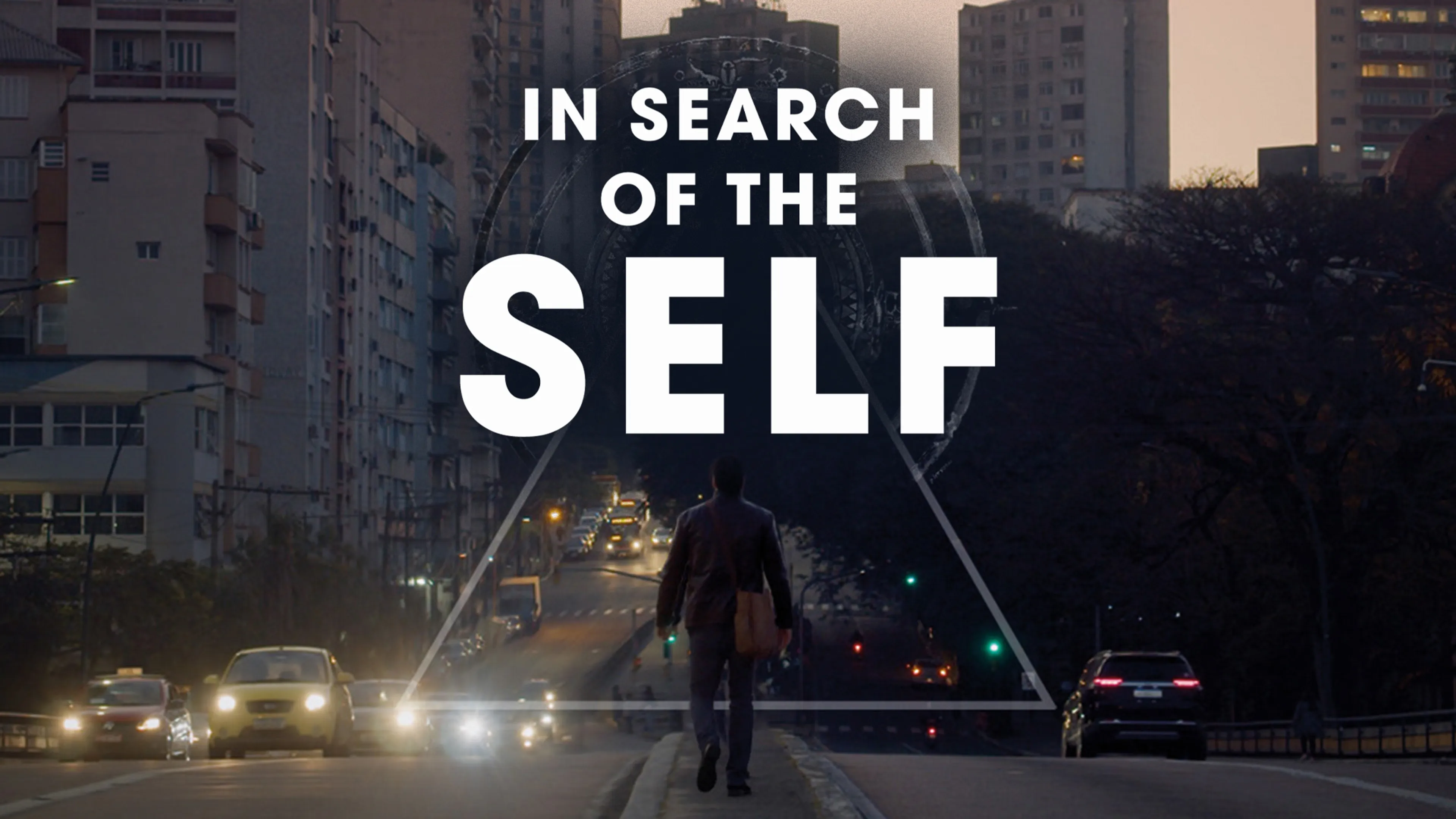 In Search of the Self poster